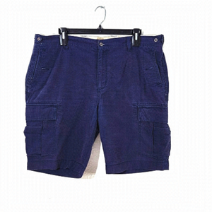 HUDSON North Blue Cargo Pants